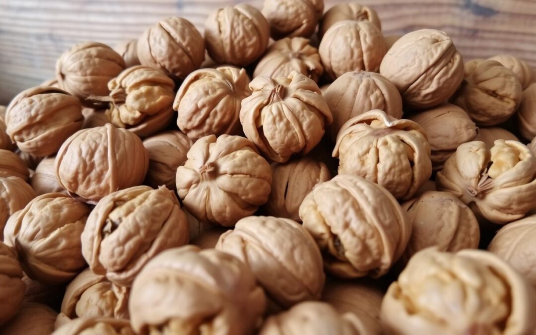 Przeterminowane orzechy włoskie – czy jeszcze się nadają?